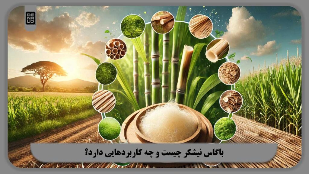 باگاس نیشکر چیست و چه کاربردهایی دارد؟